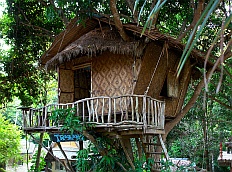 vybrat si můžete i exotické ubytování na stromě